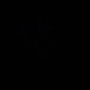 Meet your Posher, Jaimie